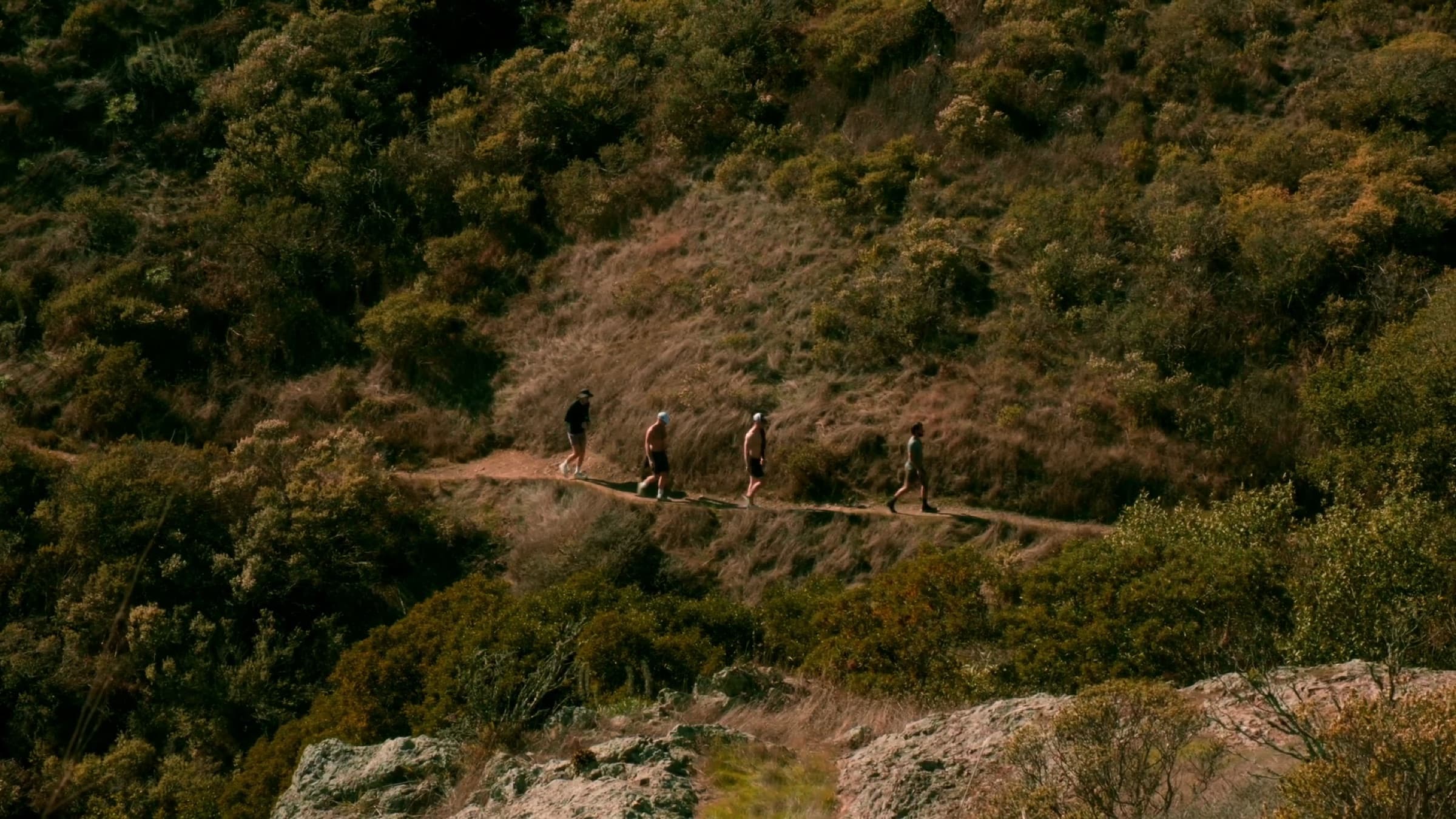 Video 5